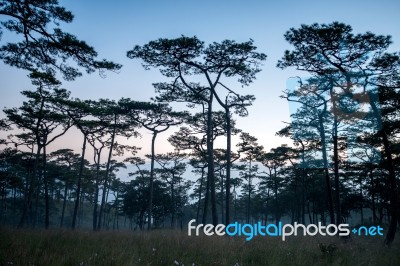 Phu Soi Dao Stock Photo Phu Soi Dao Stock Photo