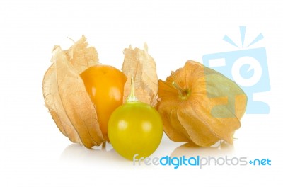 Physalis Fruit Isolated On The White Background Stock Photo