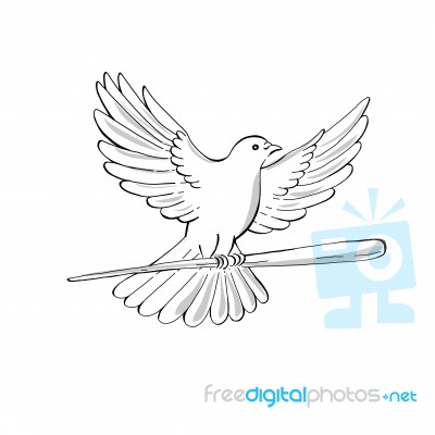 Pigeon Or Dove Flying With Cane Drawing Stock Image
