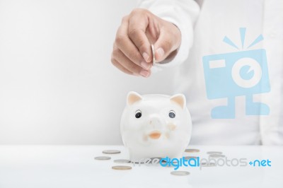 Piggy Bank Stock Photo