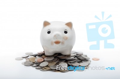 Piggy Bank Stock Photo