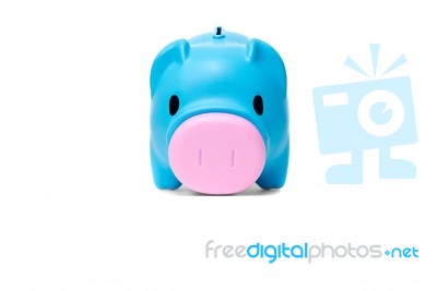 Piggy Bank Looking For Something Stock Photo