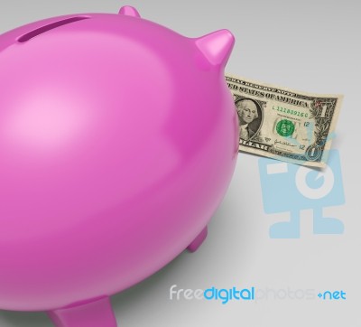 Piggy Dollars Shows Earning Cash Money Notes Stock Image