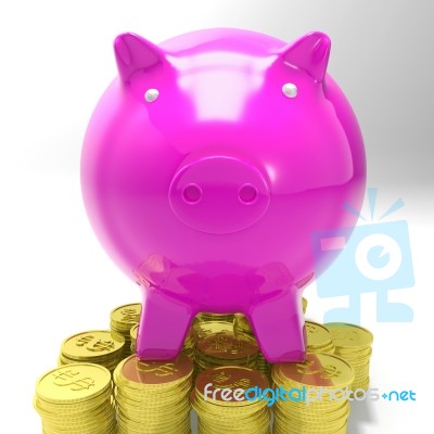 Piggybank On Coins Showing Savings Stock Image