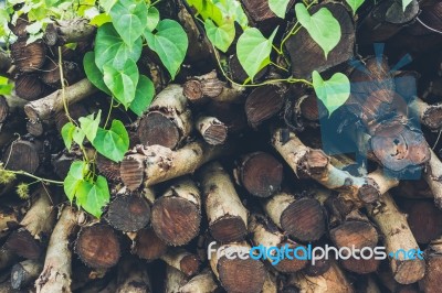 Pile Firewood Prepared For Fireplace Stock Photo