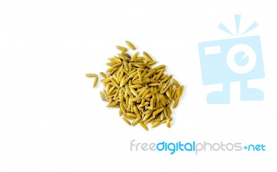 Pile Of Paddy Rice And Rice Seed On The White Background For Isolated Stock Photo