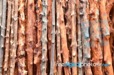 Pile Of Wood Logs Stock Photo