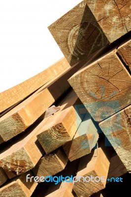 Pine Wood Logs Stock Photo