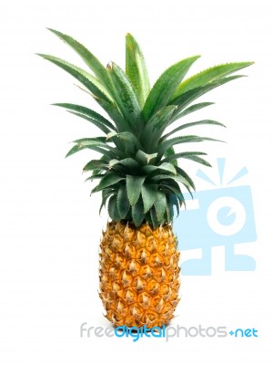 Pineapple Stock Photo