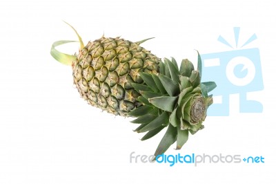 Pineapple Head Leaf Cut On White Background Stock Photo Pineapple Head Leaf Cut On White Background Stock Photo