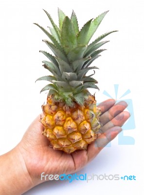 Pineapple On Hand Stock Photo