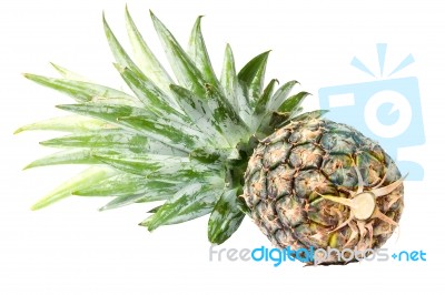 Pineapple On White Background With Clipping Path Stock Photo