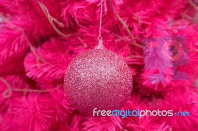 Pink Ball Decorated On Christmas Tree Stock Photo