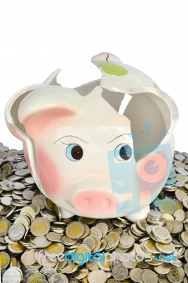 Pink Piggy Bank Broken With Money Stock Photo