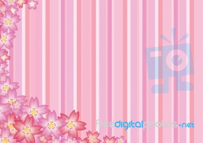 Pink Sakura Background Stock Image