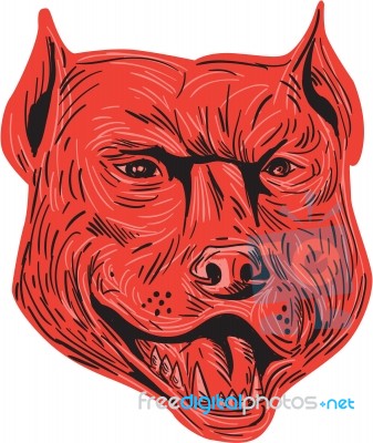 Pitbull Dog Mongrel Head Drawing Stock Image