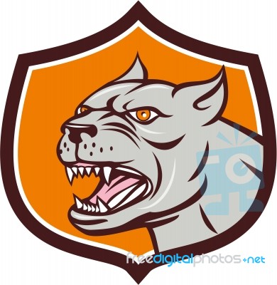 Pitbull Dog Mongrel Head Shield Cartoon Stock Image