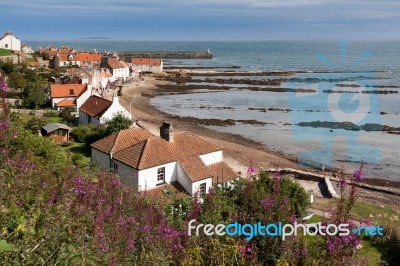 Pittenweem, Fife/scotland - August 13 : View Of Pittenweem In Fi… Stock Photo