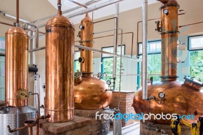 Plant Of Brazilian Cachaca Sugarcane Liquor Stock Photo