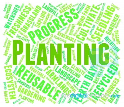 Planting Word Indicates Cultivation Grow And Growth Stock Image