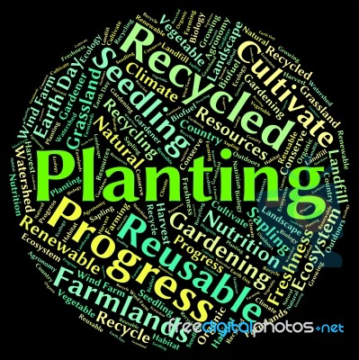 Planting Word Indicating Sows Cultivate And Plants Stock Image