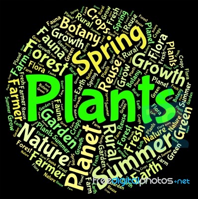 Plants Word Means Herbage Text And Botanical Stock Image