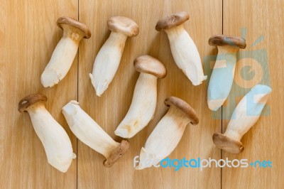 Pleurotus Eryngii Mushroom Stock Photo