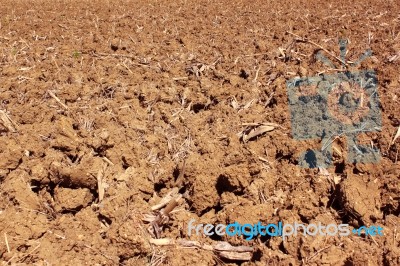 Plowed Land Stock Photo