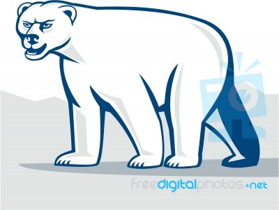 Polar Bear Isolated Cartoon Stock Image