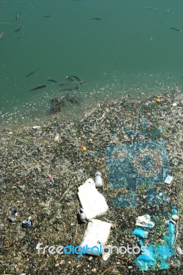 Polluted River Full Of Rubbish And Fishes Stock Photo