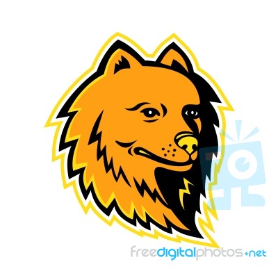 Pomeranian Dog Mascot Stock Image