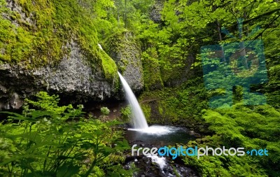 Ponytail Falls Stock Photo