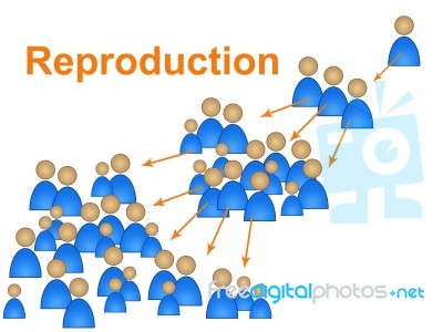 Population Growth Shows Populace Expecting And Demography Stock Image