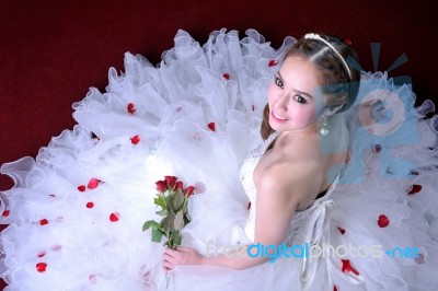 Portrait Of Beautiful Bride Stock Photo