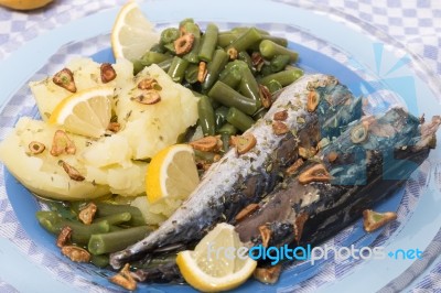 Portuguese Mackerel Fish Meal Stock Photo