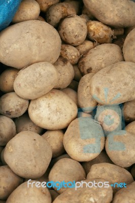 Potatoes  Stock Photo