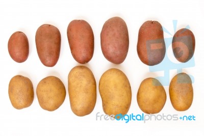 Potatoes Isolated On A White Background Stock Photo