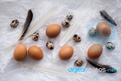 Poultry Eggs Flat Lay Still Life With Food Stylish Stock Photo