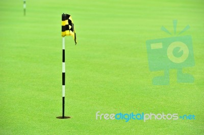 Practice Golf Putting Hole Stock Photo