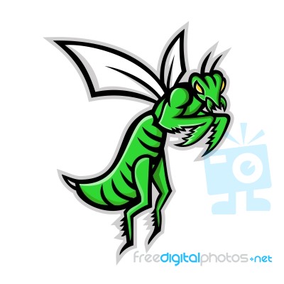 Praying Mantis Mascot Stock Image