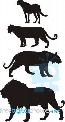 Predators, Carnivorous Big Cats Stock Image