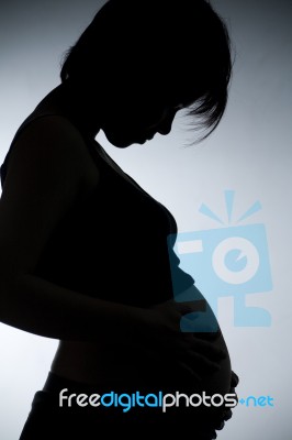 Pregnant Woman  Stock Photo