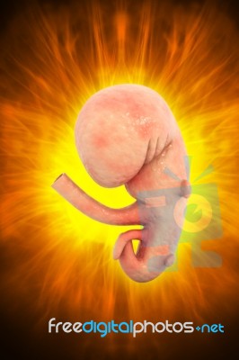 Prenatal Pregnancy Stock Image
