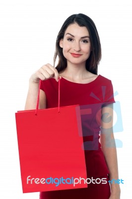 Pretty Woman With A Red Shopping Bag Stock Photo
