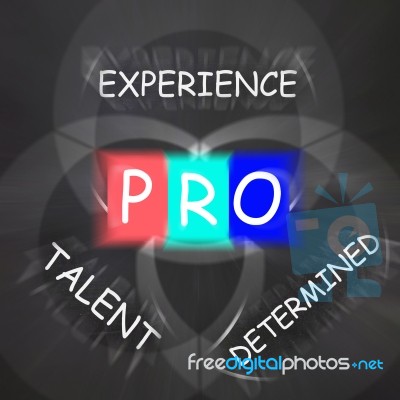 Pro On Blackboard Displays Great Experience And Excellence Stock Image
