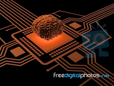 Processor And Human Brain Stock Image