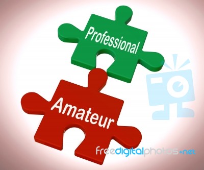 Professional Amateur Puzzle Shows Expert And Apprentice Stock Image