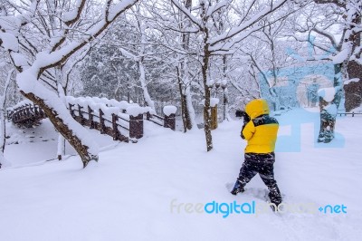 Professional Photographer In Winter Stock Photo