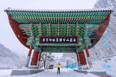 Professional Photographer Takes Photos With Camera At Gate Of Baekyangsa Temple And Falling Snow, Naejangsan Mountain In Winter,south Korea.winter Landscape Stock Photo