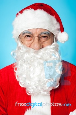 Profile Shot Of Smiling Father Santa Stock Photo